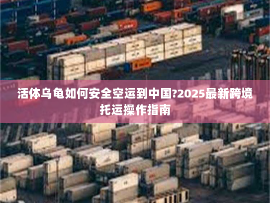 活体乌龟如何安全空运到中国?2025最新跨境托运操作指南 活体乌龟如何安全空运到中国?2025最新跨境托运操作指南