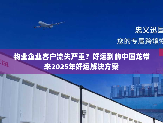 物业企业客户流失严重?好运到的中国龙带来2025年好运解决方案 物业企业客户流失严重?好运到的中国龙带来2025年好运解决方案