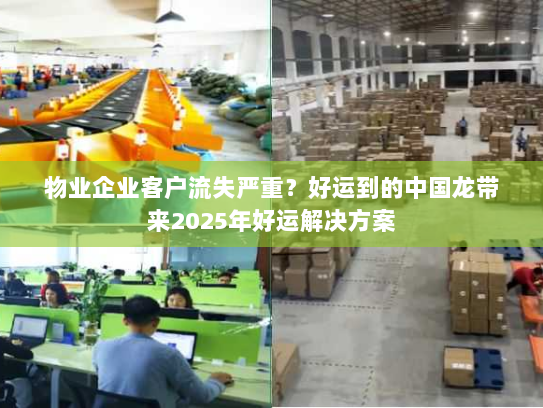 物业企业客户流失严重?好运到的中国龙带来2025年好运解决方案 物业企业客户流失严重?好运到的中国龙带来2025年好运解决方案