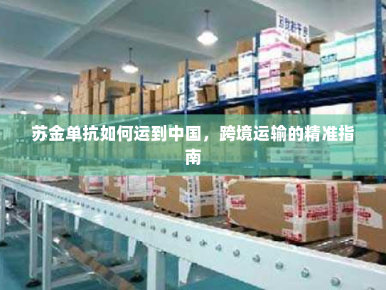 苏金单抗如何运到中国,跨境运输的精准指南 苏金单抗如何运到中国,跨境运输的精准指南