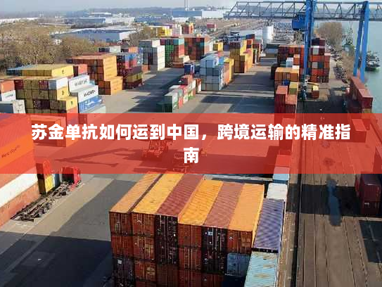 苏金单抗如何运到中国,跨境运输的精准指南 苏金单抗如何运到中国,跨境运输的精准指南