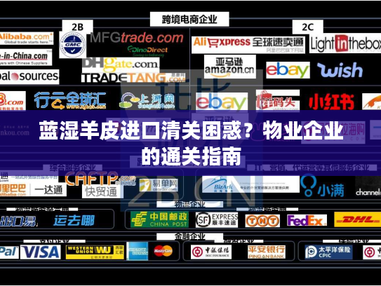蓝湿羊皮进口清关困惑？物业企业的通关指南