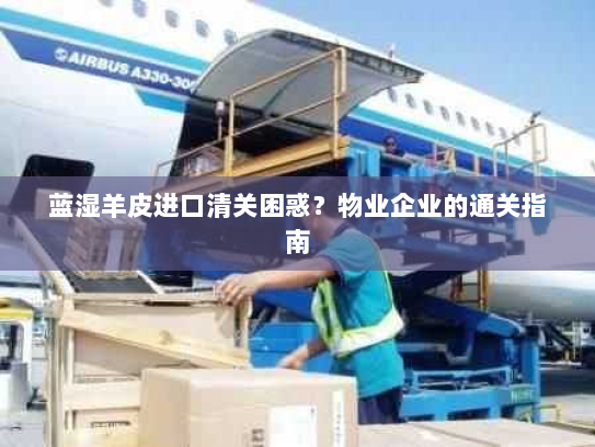 蓝湿羊皮进口清关困惑?物业企业的通关指南 蓝湿羊皮进口清关困惑?物业企业的通关指南