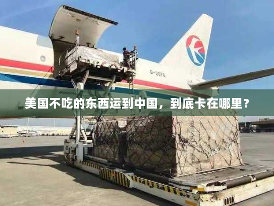 美国不吃的东西运到中国，到底卡在哪里？