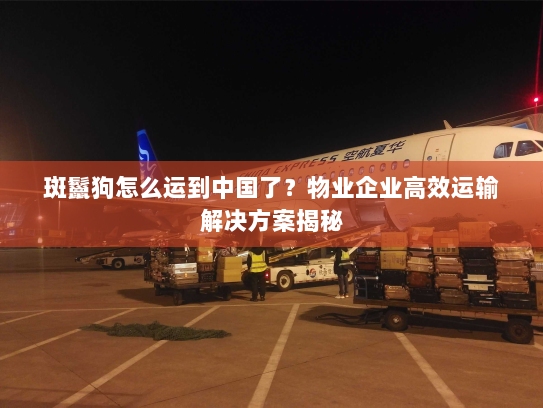 斑鬣狗怎么运到中国了?物业企业高效运输解决方案揭秘 斑鬣狗怎么运到中国了?物业企业高效运输解决方案揭秘