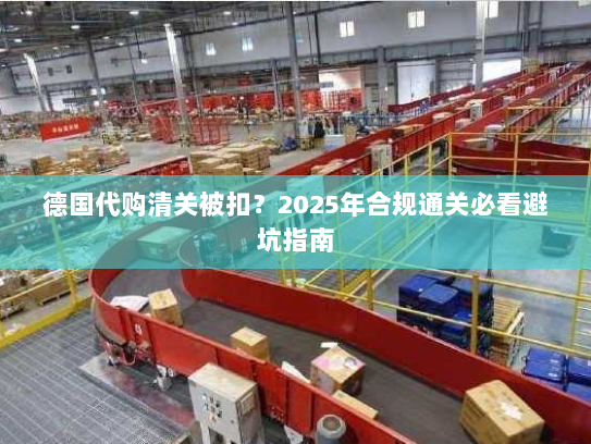 德国代购清关被扣?2025年合规通关必看避坑指南 德国代购清关被扣?2025年合规通关必看避坑指南