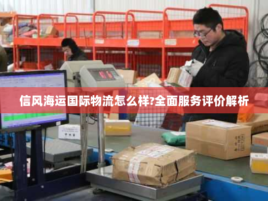 信风海运国际物流怎么样?全面服务评价解析