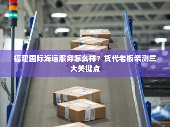 福建国际海运服务怎么样?货代老板亲测三大关键点 福建国际海运服务怎么样?货代老板亲测三大关键点