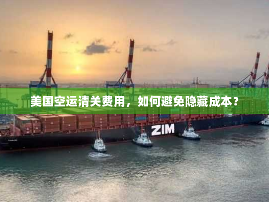 美国空运清关费用，如何避免隐藏成本？