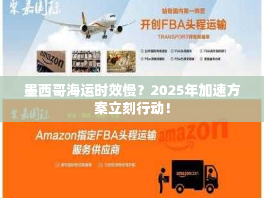 墨西哥海运时效慢?2025年加速方案立刻行动! 墨西哥海运时效慢?2025年加速方案立刻行动!