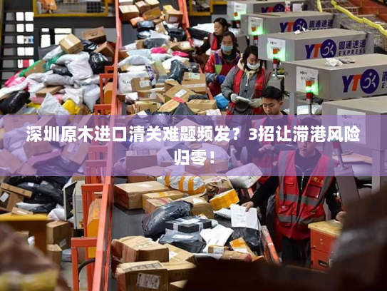 深圳原木进口清关难题频发?3招让滞港风险归零! 深圳原木进口清关难题频发?3招让滞港风险归零!
