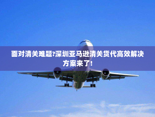 面对清关难题?深圳亚马逊清关货代高效解决方案来了!