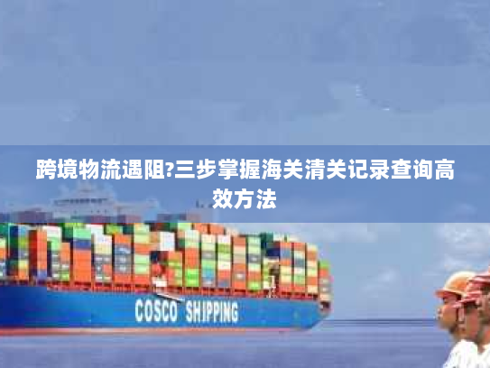 跨境物流遇阻?三步掌握海关清关记录查询高效方法