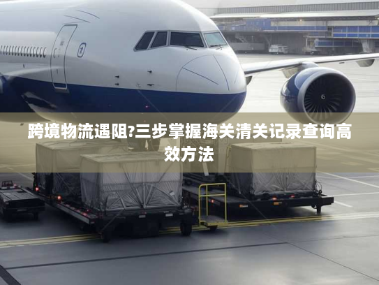 跨境物流遇阻?三步掌握海关清关记录查询高效方法