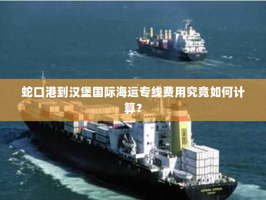 蛇口港到汉堡国际海运专线费用究竟如何计算? 蛇口港到汉堡国际海运专线费用究竟如何计算?