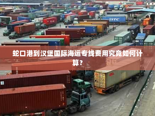 蛇口港到汉堡国际海运专线费用究竟如何计算? 蛇口港到汉堡国际海运专线费用究竟如何计算?