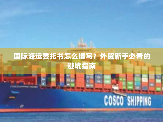 国际海运委托书怎么填写?外贸新手必看的避坑指南 国际海运委托书怎么填写?外贸新手必看的避坑指南
