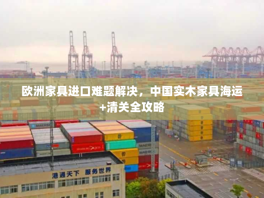 欧洲家具进口难题解决，中国实木家具海运+清关全攻略