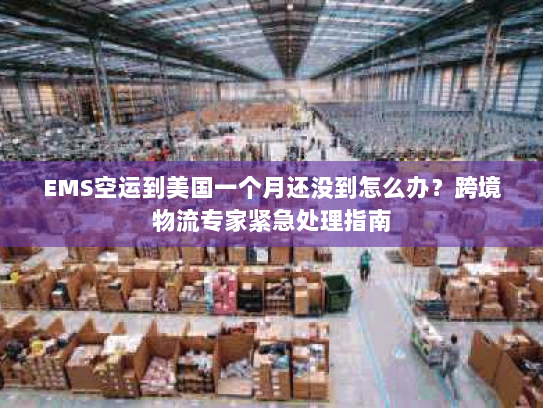 EMS空运到美国一个月还没到怎么办？跨境物流专家紧急处理指南