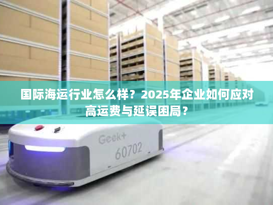 国际海运行业怎么样?2025年企业如何应对高运费与延误困局? 国际海运行业怎么样?2025年企业如何应对高运费与延误困局?
