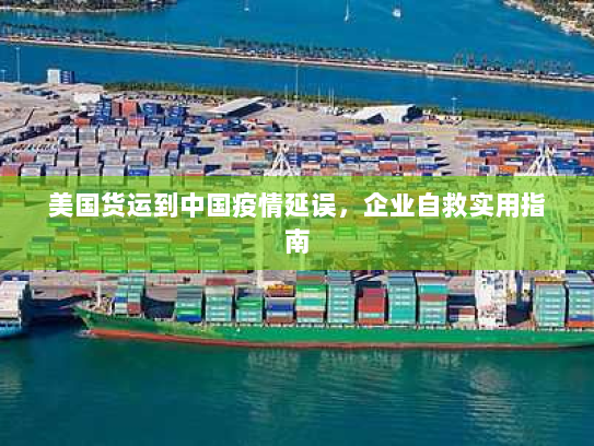 美国货运到中国疫情延误,企业自救实用指南 美国货运到中国疫情延误,企业自救实用指南