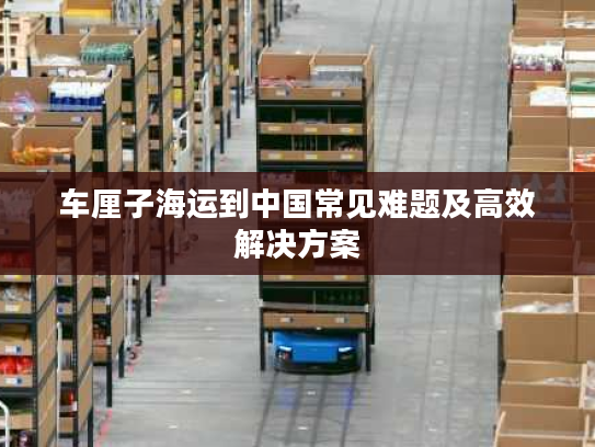 车厘子海运到中国常见难题及高效解决方案