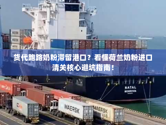 货代跑路奶粉滞留港口？看懂荷兰奶粉进口清关核心避坑指南！