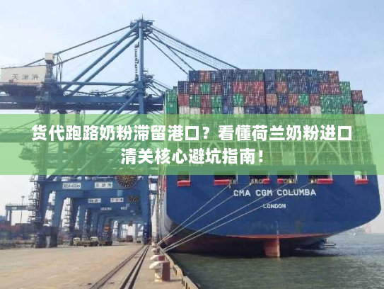 货代跑路奶粉滞留港口？看懂荷兰奶粉进口清关核心避坑指南！