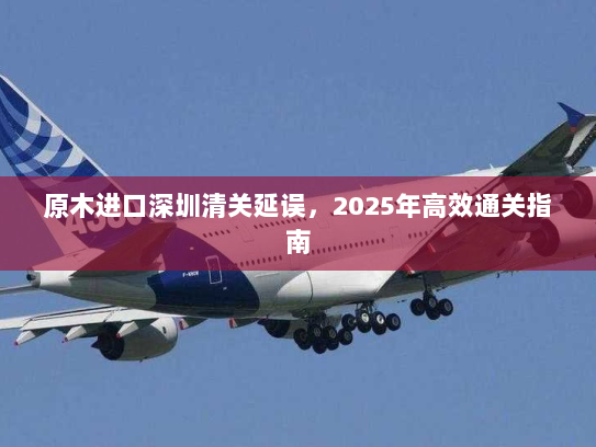 原木进口深圳清关延误,2025年高效通关指南 原木进口深圳清关延误,2025年高效通关指南
