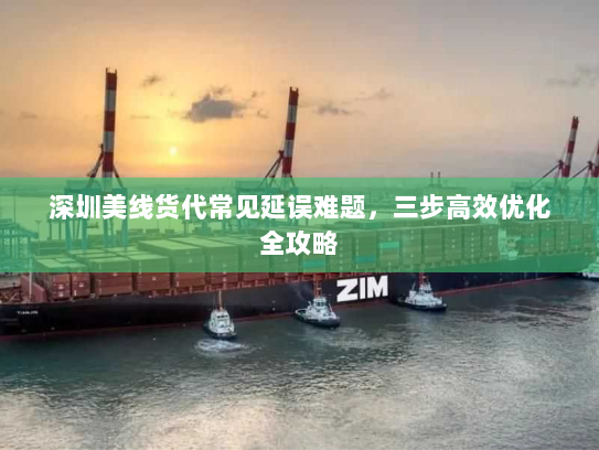 深圳美线货代常见延误难题,三步高效优化全攻略 深圳美线货代常见延误难题,三步高效优化全攻略