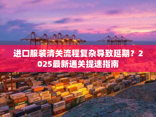 进口服装清关流程复杂导致延期？2025最新通关提速指南