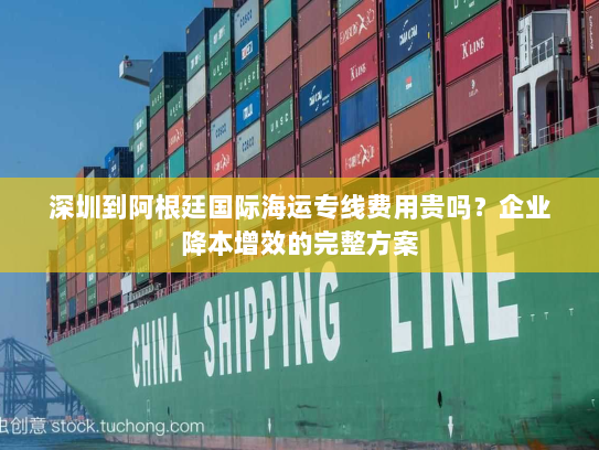 深圳到阿根廷国际海运专线费用贵吗？企业降本增效的完整方案