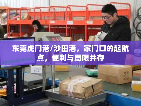 东莞虎门港/沙田港，家门口的起航点，便利与局限并存