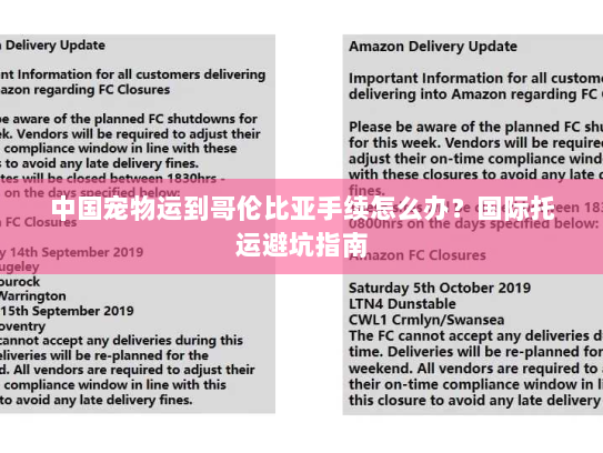 中国宠物运到哥伦比亚手续怎么办?国际托运避坑指南 中国宠物运到哥伦比亚手续怎么办?国际托运避坑指南