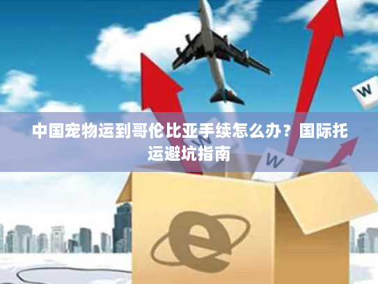 中国宠物运到哥伦比亚手续怎么办?国际托运避坑指南 中国宠物运到哥伦比亚手续怎么办?国际托运避坑指南
