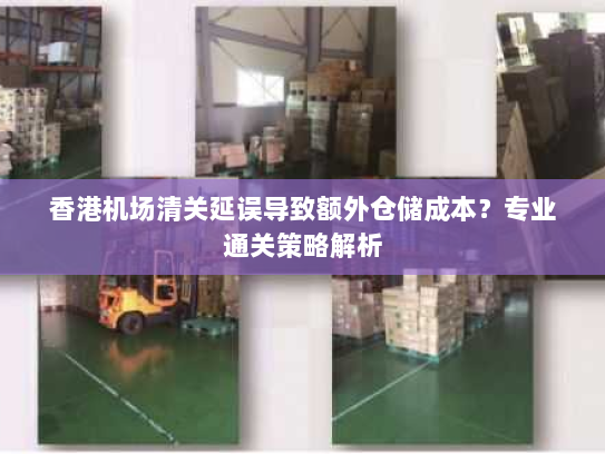 香港机场清关延误导致额外仓储成本?专业通关策略解析 香港机场清关延误导致额外仓储成本?专业通关策略解析