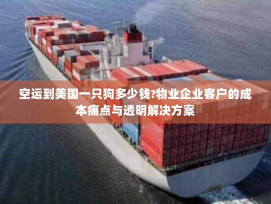 空运到美国一只狗多少钱?物业企业客户的成本痛点与透明解决方案