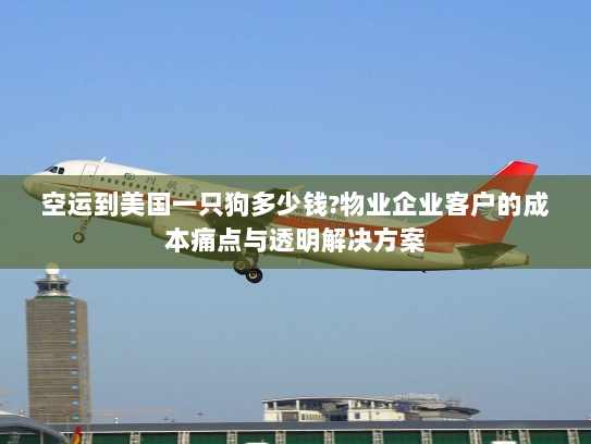 空运到美国一只狗多少钱?物业企业客户的成本痛点与透明解决方案