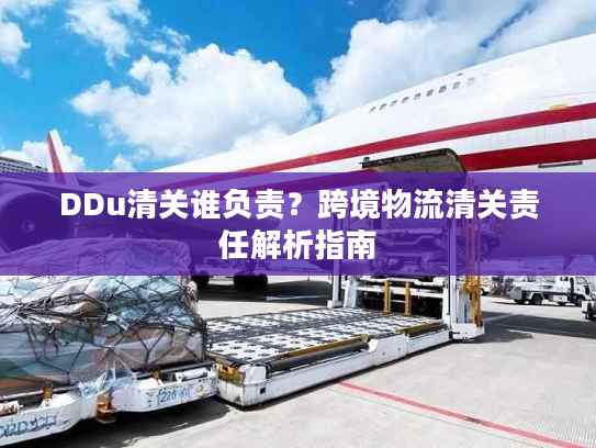 DDu清关谁负责?跨境物流清关责任解析指南 DDu清关谁负责?跨境物流清关责任解析指南