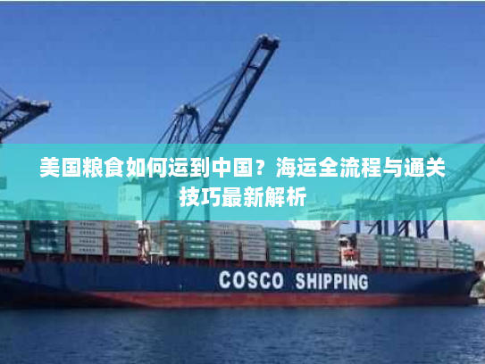 美国粮食如何运到中国?海运全流程与通关技巧最新解析 美国粮食如何运到中国?海运全流程与通关技巧最新解析