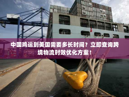 中国鸡运到美国需要多长时间？立即查询跨境物流时效优化方案！