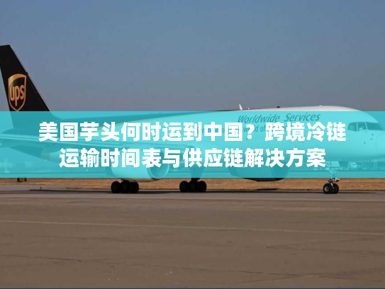 美国芋头何时运到中国？跨境冷链运输时间表与供应链解决方案