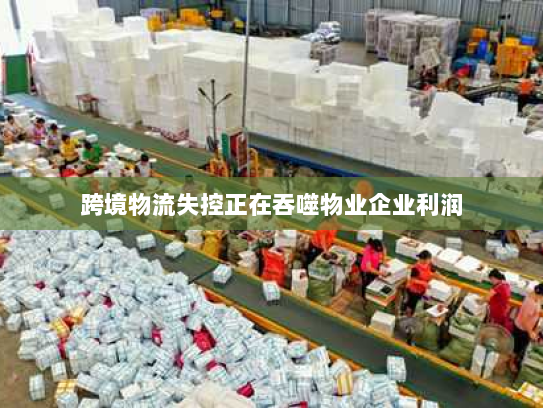 跨境物流失控正在吞噬物业企业利润 跨境物流失控正在吞噬物业企业利润