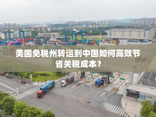 美国免税州转运到中国如何高效节省关税成本？