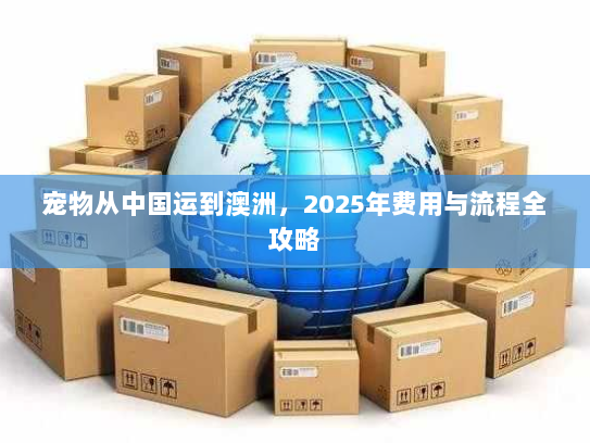 宠物从中国运到澳洲,2025年费用与流程全攻略 宠物从中国运到澳洲,2025年费用与流程全攻略