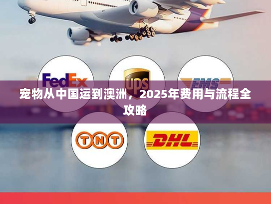 宠物从中国运到澳洲,2025年费用与流程全攻略 宠物从中国运到澳洲,2025年费用与流程全攻略