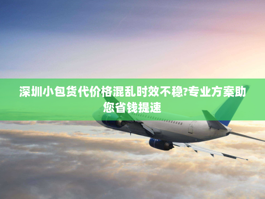 深圳小包货代价格混乱时效不稳?专业方案助您省钱提速