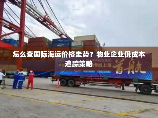 怎么查国际海运价格走势?物业企业低成本追踪策略 怎么查国际海运价格走势?物业企业低成本追踪策略