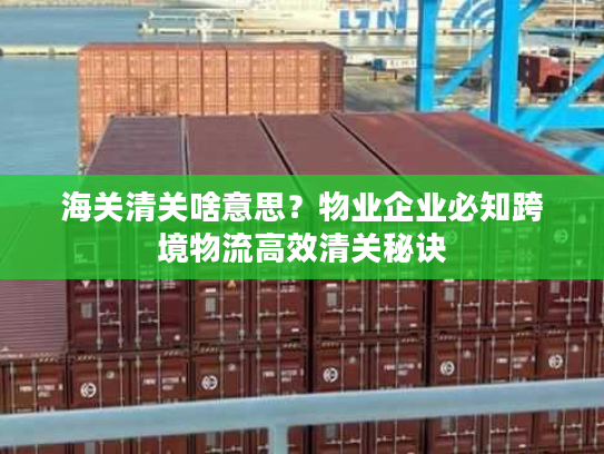 海关清关啥意思？物业企业必知跨境物流高效清关秘诀