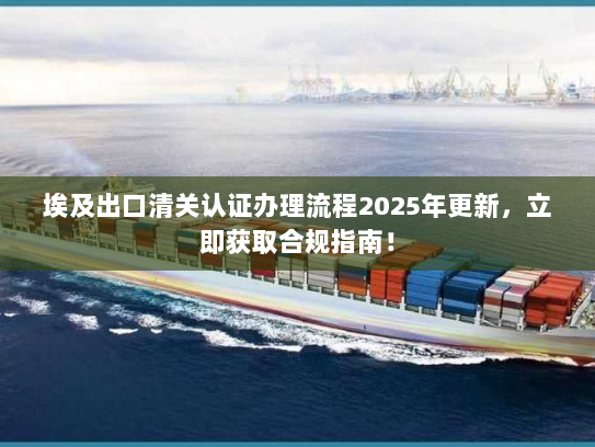 埃及出口清关认证办理流程2025年更新，立即获取合规指南！